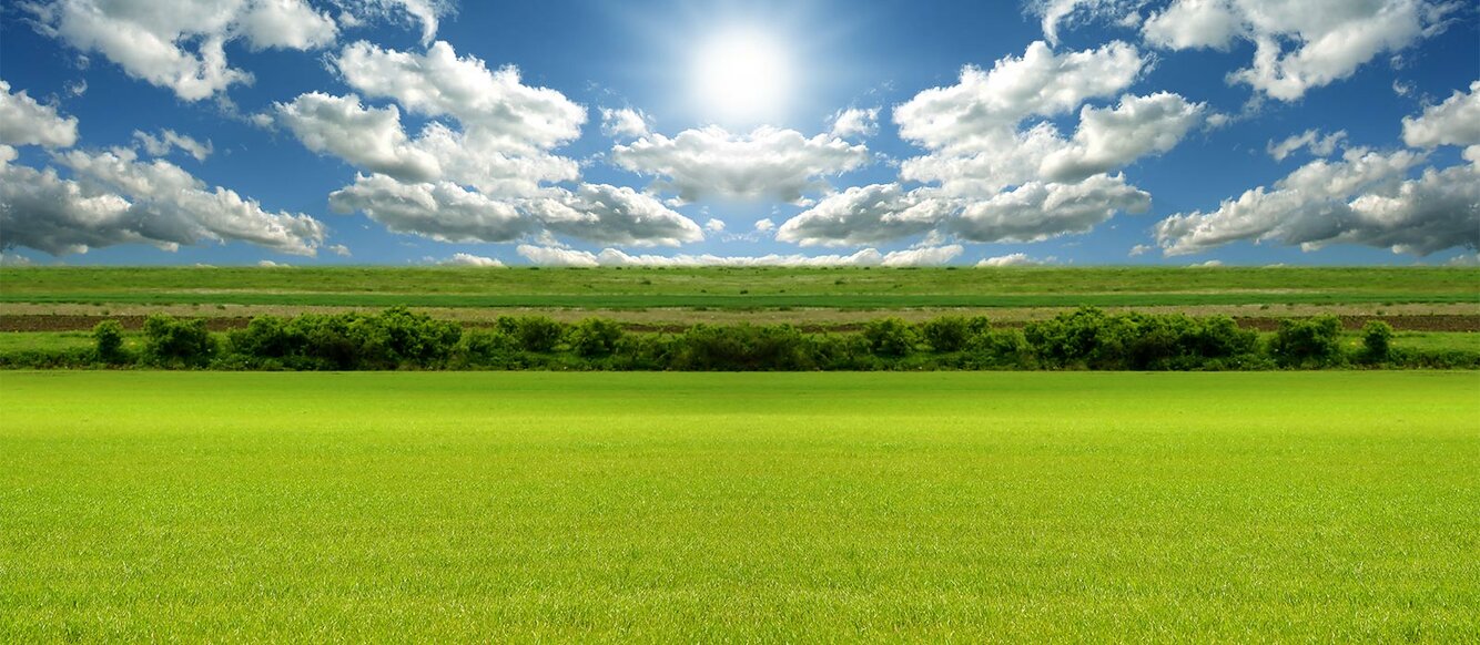 Das Bild zeigt ein sonniges Landschaftsbild mit einer grünen Wiese und blauem Himmel mit einigen hellen Wolken. 